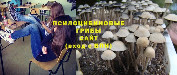 соль ск Пролетарск